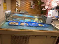 -盛宴自助餐厅(运达喜来登店)