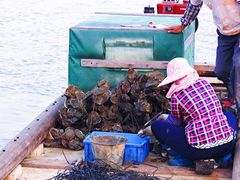 景观位-蚝乡农庄(铁涌赤岸店)