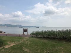 -野狸岛