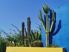 -漳州滨海火山岛自然生态风景区