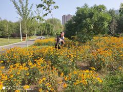 -长春公园(普阳街道)