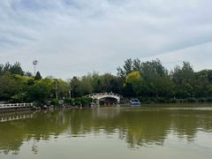 -塘沽森林公园