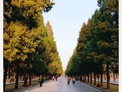 -天坛公园