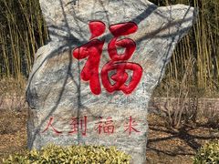 -浮来山风景区