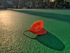 -天河体育中心篮球城