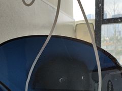 -谐和贝康宠物医院24小时·宠保定点(急重症转诊中心)