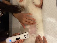 -御宝贝24h宠物医院·转诊中心·CT核磁血透中心(厦门总院)