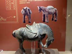 -宁夏博物馆