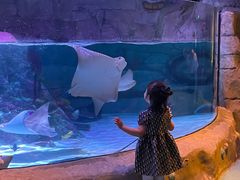 -沈阳海洋探索中心