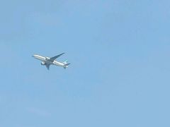 android_upload_pic-上海滴水湖皇冠假日酒店