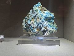 -陕西自然博物馆