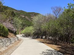 -北京西山国家森林公园