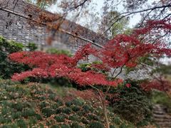 -虞山风景区