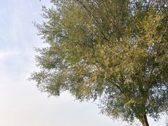 -良渚古城遗址公园