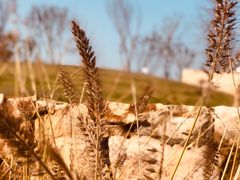 -盘龙城国家考古遗址公园