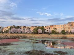 -两河城市森林公园