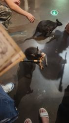 -Zoolung Zoolung动物主题公园(海信广场店)