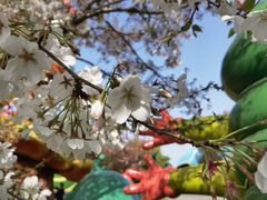 -祥源·阜阳生态乐园