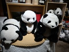 -轩客会(熊猫书店)