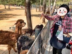 -大连森林动物园