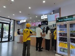 -雾与山茶(大禹城店)