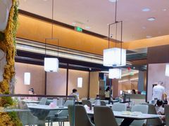 -阿露佳·舌尖上的安吉菜