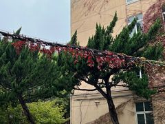 -同济大学(沪西校区)