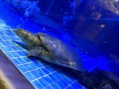 -王捌小院(红花坡店)