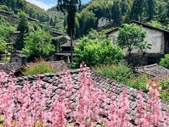 -MOJ coffee(瓯海泽雅水碓坑店)