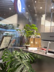 -菲·木田moontin造型salon