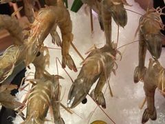 -尚海豆捞(乐虹坊店)