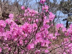 -青岛大珠山景区