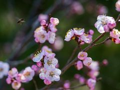 -白水寺森林公园