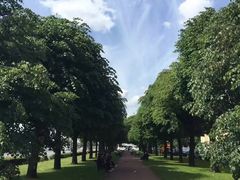 -滴血救世主教堂