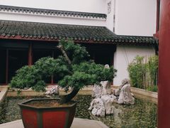 -苏州吴宫泛太平洋酒店
