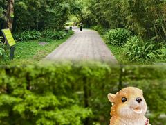 -云溪植物园