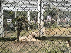 -合肥野生动物园