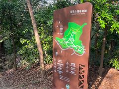 -上海佘山国家森林公园天马山园