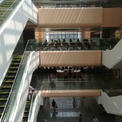 -福建省妇幼保健院(道山路院区)