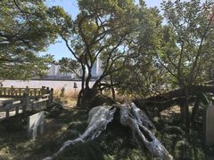 -江心屿景区