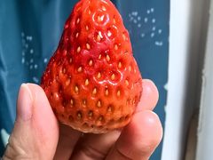 -盒马鲜生(莱蒙都会店)