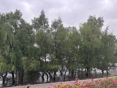 -宝安西湾红树林湿地公园