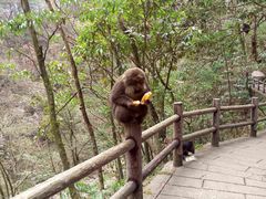 -西岭雪山大飞水景区