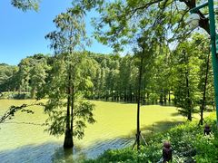 -星湖旅游景区七星岩