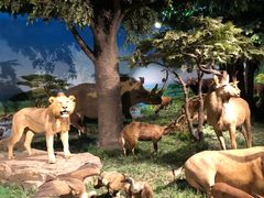 -国家自然博物馆