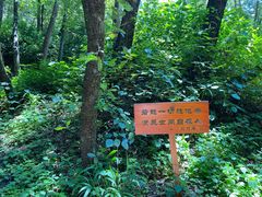 -寂照庵