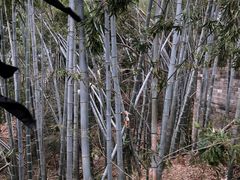 -三国赤壁古战场