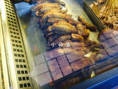 -老号尤兔头(幸福店)