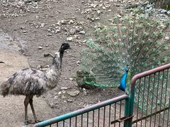 -柳州市动物园