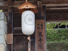 -三千院